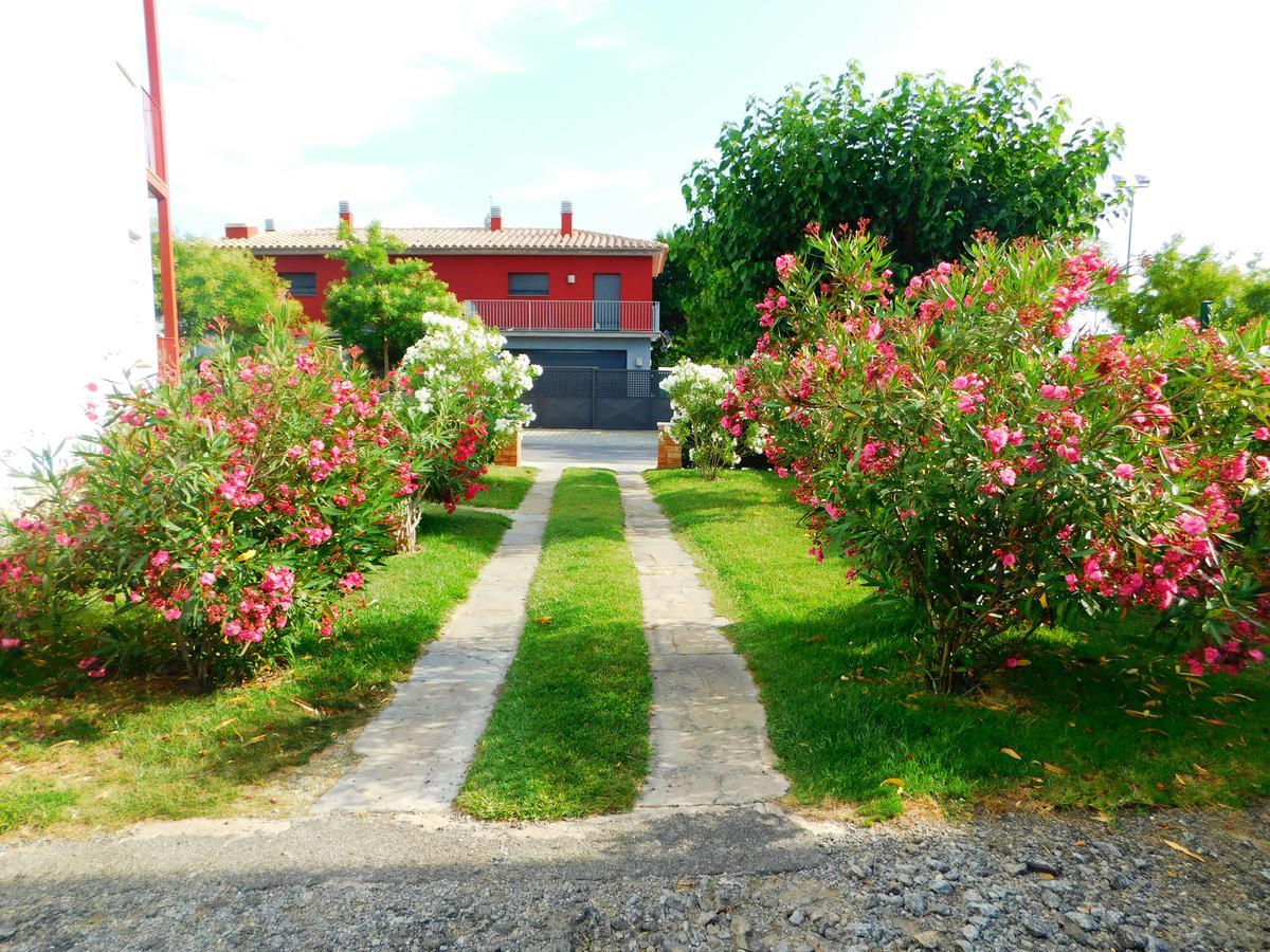 Apartamento Mas Oliva Roses Esterno foto